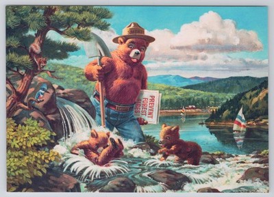 Smokey Bear Forest Fire Prevention Cubs Stream 4x6 Postcard NEW UNP