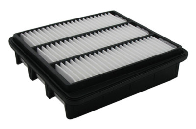 Air Filter Pentius PAB10084