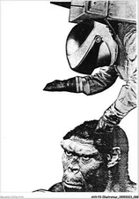 AHVP3-0248 - ILLUSTRATOR - Print 50 Ex COSMONAUTE MONKEY