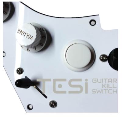Tesi DITO Snap-in 24MM Guitar Arcade Push Button Kill Switch Solid White