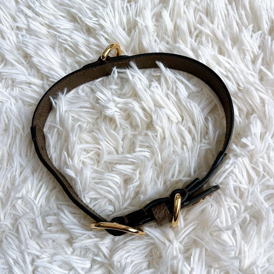 GUCCI Collar Perro GG Patrón Enclavamiento Plomo Marrón Excelente Estado Usado Foto 3 de 4