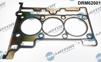 Dr.Motor Automotive Zylinderkopfdichtung FüR Ford Ecosport Fiesta VII 1.0