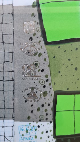 Friedensreich Hundertwasser Il Rotolante Opera D'Arte Originale Firmata - Picture 7 of 18