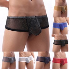 Sheer Mesh Pouch Low Waist Boxer Briefs Underwear Panties for Men M 2XL