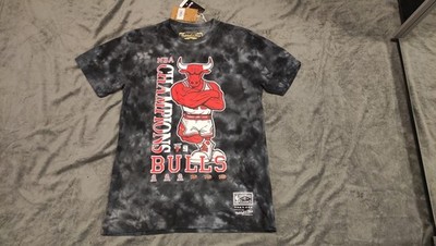 NBA Chicago Bulls Shirt Champion 90s Jersey Hardwood Classic Mitchell & Ness