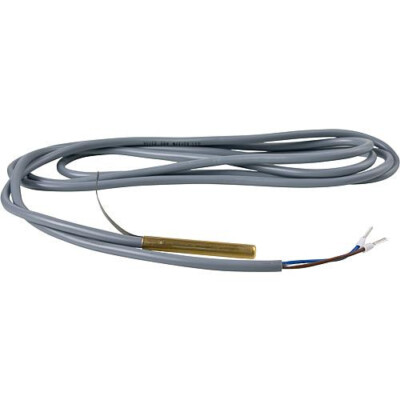 EBV Tauchfühler KVT 20/2/6 mit  Kabel 2m Passend für Ceta,Theta,Gamma,Delta,Beta
