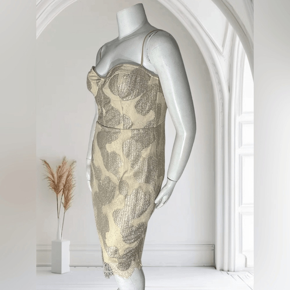 Katie May Lace Corset Like Top Dress