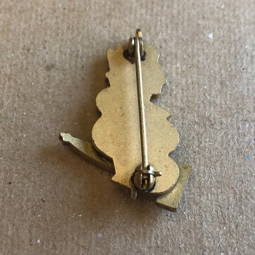 City Of Hope President Lapel Pin Cancer Medical Center Torch Gavel Vintage - Picture 2 of 14