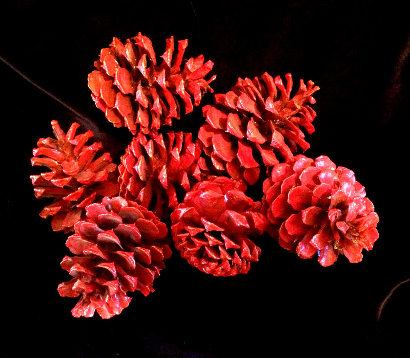 7 Large RED Pine Cones For Art Crafts /Home Decor/Cabin/Cowboy/Western