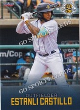 2023 Charleston RiverDogs Estanli Castillo RC Rookie Rays Minor League DR
