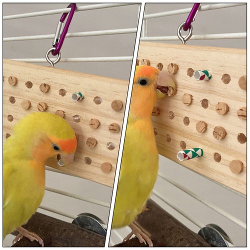 Parrot Chewing Toy Bird Foraging Toy Birdcage Hanging Decoration Parakeet - Afbeelding 3 van 12