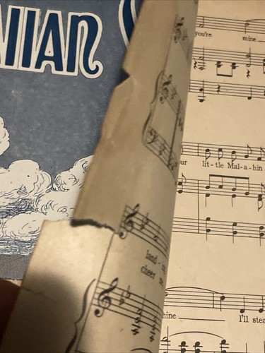 My Hawaiian Sunshine by L. Wolfe Gilbert & Carey Morgan Schenk Van Sheet Music - Picture 3 of 5