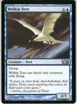 Welkin Tern 79 C Magic 2013 (M13) 2012