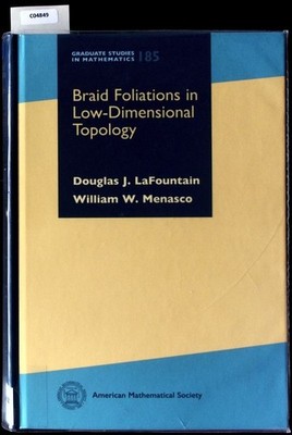 Braid foliations in low-dimensional topology. Graduate studies in mathematics; 1
