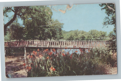 #ad Scene in Beautiful Landa Park New Braunfels Texas Vintage Postcard K3 $5.21