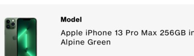 Apple iPhone 13 Pro Max - 256 GB - Green (Unlocked) with TikTok installed