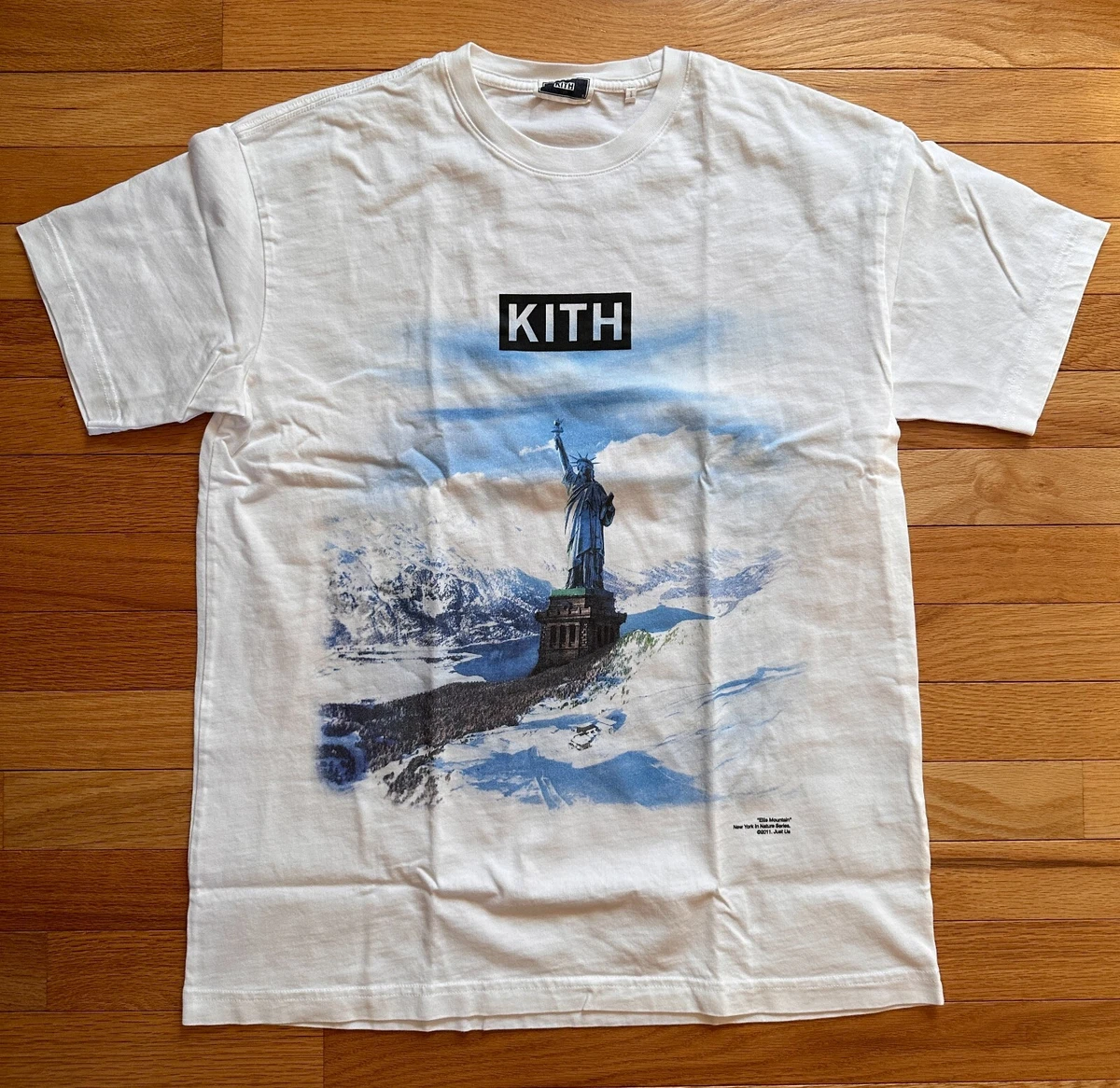 Men s Small Kith Ellis Mountain Tee