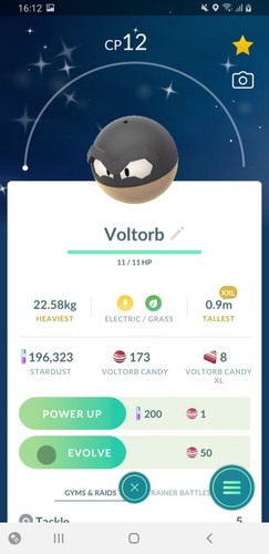 Pokèmon Shiny XXL e XXS, registrati o ultra amici - Foto 3 di 55