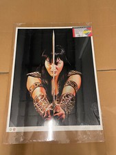 Xena Warrior Princess Alex Ross Print Litho Wizard Dynamic 22x28" Damaged READ!