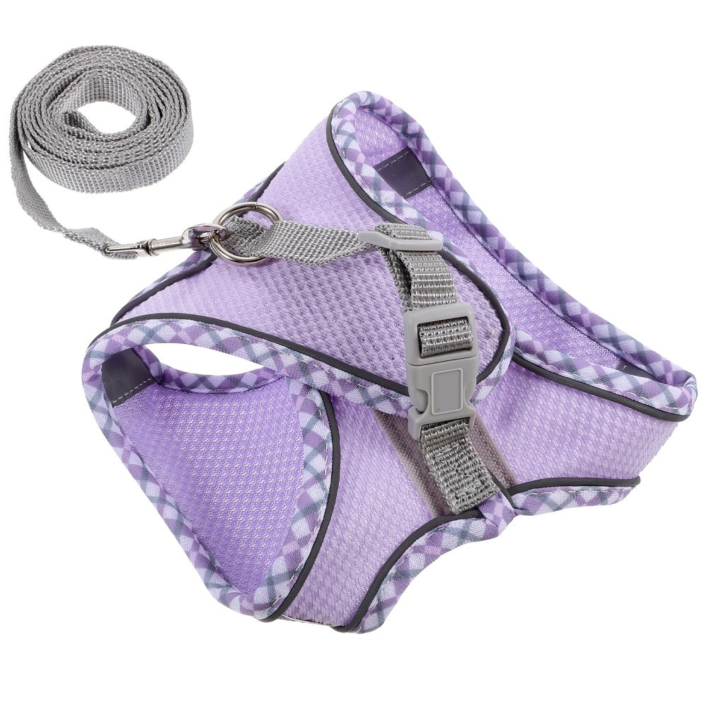 Set Imbracatura e Guinzaglio per Cuccioli Decorativo per Cani di Piccola Taglia Accessori foto 5