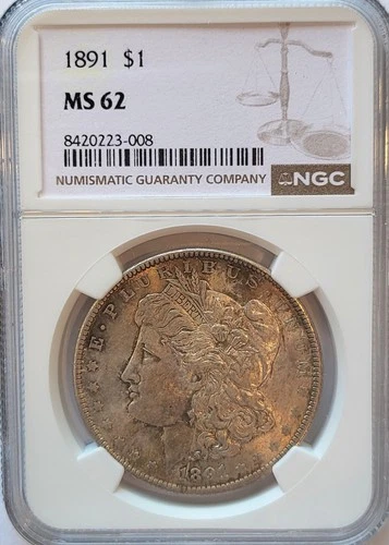 1891-P   NGC MS-62   Original Toned   Morgan Silver Dollar.   #299.