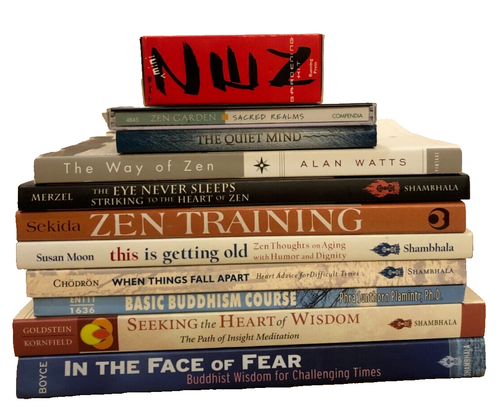 Lot of 11 Spiritual Seeker Items ~9 Bks+ ~Things Fall Apart, Buddhism ...