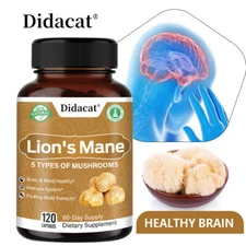 5-In-1 Mushroom Supplement Organic Lion's Mane 500mg-Brain Health,Immune Support