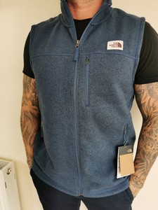 the north face men's gordon lyons vest