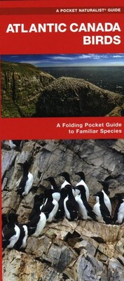 Atlantic Canada Birds: A Folding Pocket Guide to Familiar Species by James Kavan