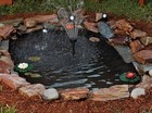 Picture 5 of 8