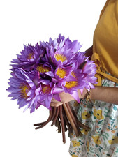 8oz Blue Lotus Nymphaea Caerulea 100 Organic Herbal Hand Picked Pure Dry Flowers