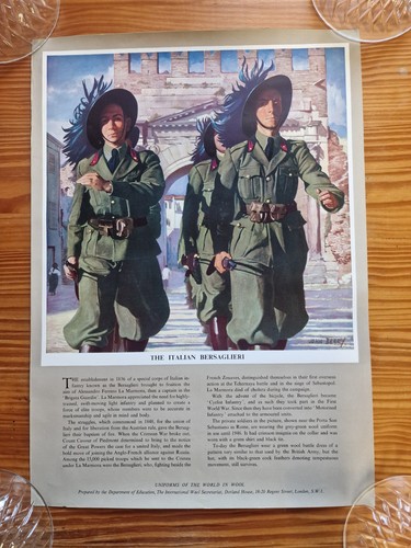 1950s John Berry Uniforms of the World Wool Posters, Set of 12 School Prints (photo 4)