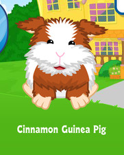 Webkinz Cinnamon Guinea Pig Virtual PET Adoption Code Only Messaged
