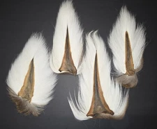 Deer Tail Bucktail Fly Tying Material Craft Hair Washed White Large Size