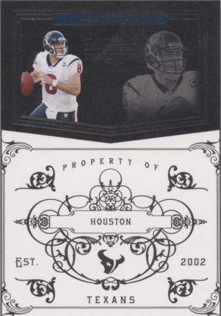 2010 Playoff National Treasures Matt Schaub #58 - 1 of 2