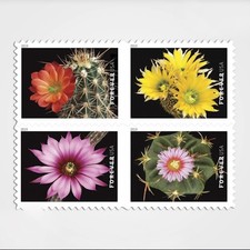 2019 Cactus Flower Forever USA Stamp Booklet Of 20, Multicolor