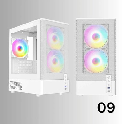 Ryzen 5 5600X RTX 3050 8GB Pro Gaming PC A520M Wifi Win11