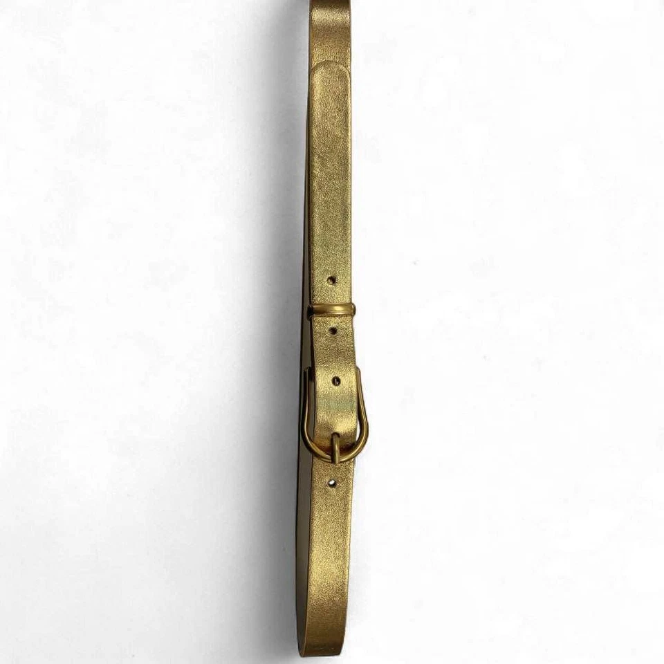 Moda Cintura GIANNI CHIARINI Donna Pelle 75-90 Argento - 99037-04FOUSIL-S - Immagine 2 di 2