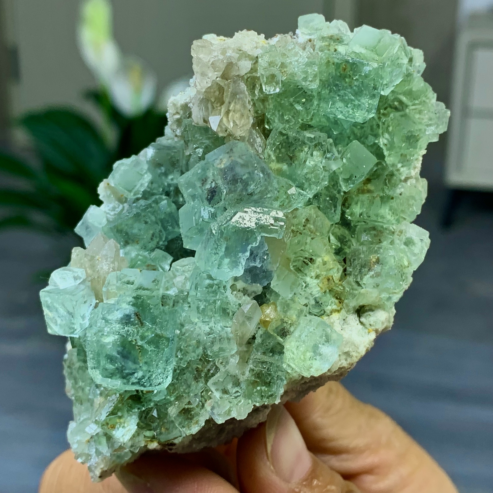 270G Transparent Green Cubic Fluorite Crystal Specimen from China