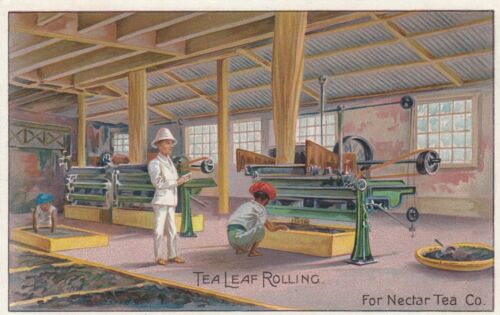 NECTAR TEA Co. - Tea Leaf Rolling - Advertising  / Reward Card (140x90mm) - Picture 1 of 2