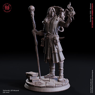Talandir, The Elf Wizard by Flesh of Gods | D&D | DnD | Print on Demand