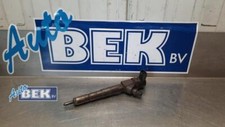 Einspritzdüse Opel Insignia A Sports Tourer G09 55566050 P17607632