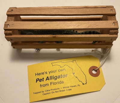Souvenir, Small Plastic Alligator in Wooden Crate with Tag