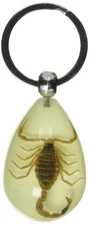 REALBUG Gold Scorpion Tear Drop Glow in The Dark Key Chain