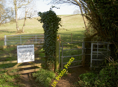 Photo 12x8 Livestock in field Bishop Sutton A warning sign to all users th c2016