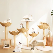 Large Cat Tree for Adults Natural Wood Scratching Posts Wicker Basket Condo