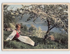 Postcard National Costume from Hardanger, Norway