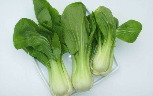 300 graines CHOU PAK CHOÏ (Brassica Rapa chinensis)E131 BOK CHOÏCABBAGE SEEDS - Picture 1 of 1
