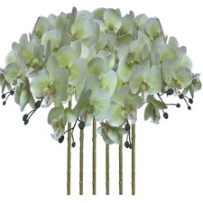 FagusHome 32 Inch Artificial Phalaenopsis Flowers 6 Pcs Artificial Orchid Flo...