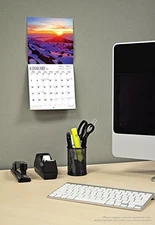 Kittens & Puppies 2018 Mini Wall Ca..., BrownTrout Publ